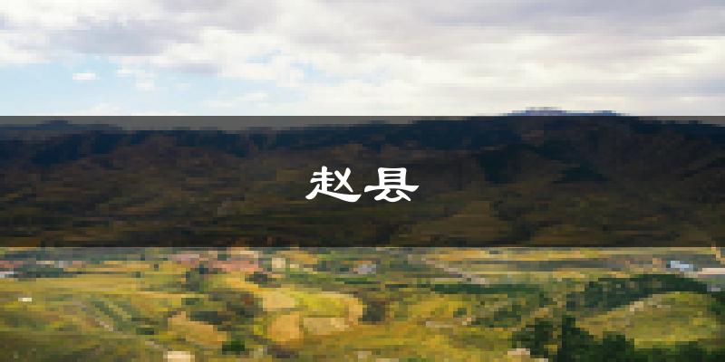 赵县天气预报未来一周