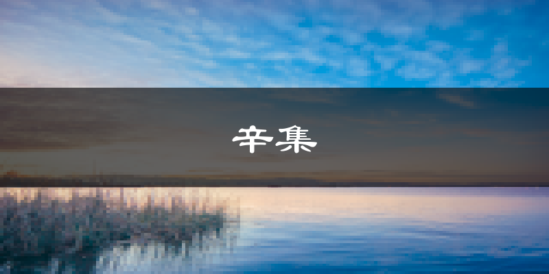 辛集天气预报未来一周