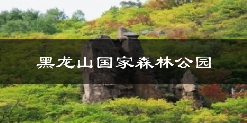 黑龙山国家森林公园气温