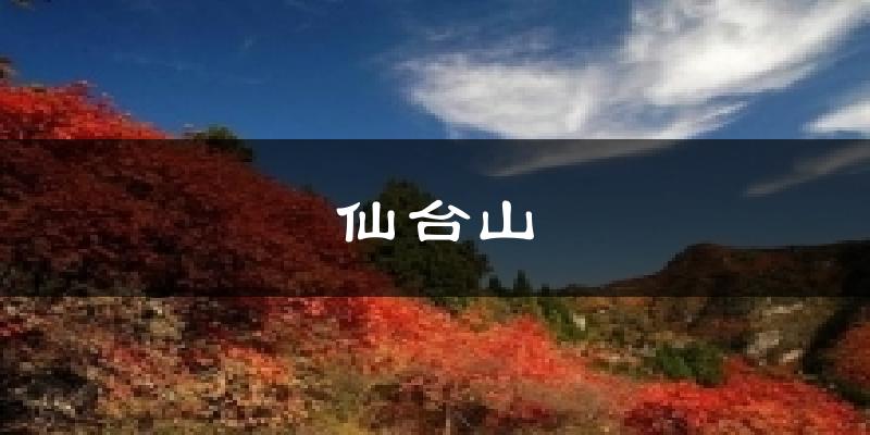 仙台山气温
