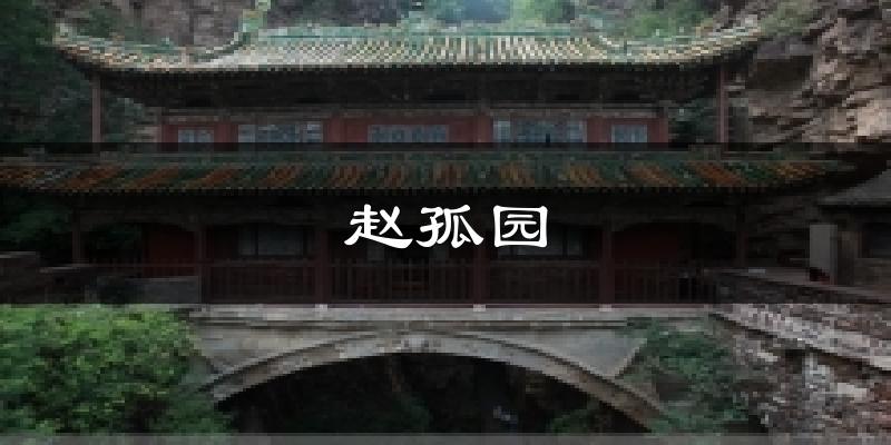 赵孤园气温