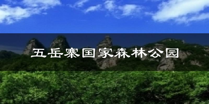 五岳寨国家森林公园气温
