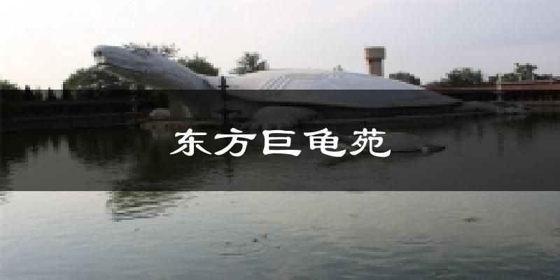 东方巨龟苑气温