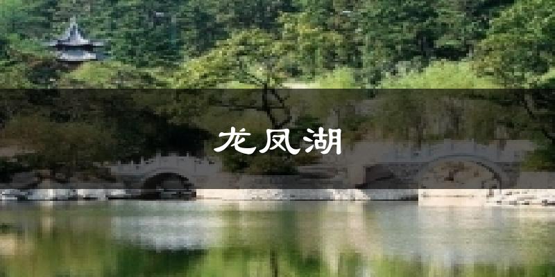 龙凤湖气温