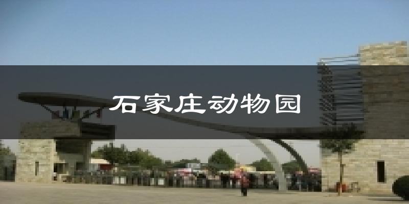 石家庄动物园气温