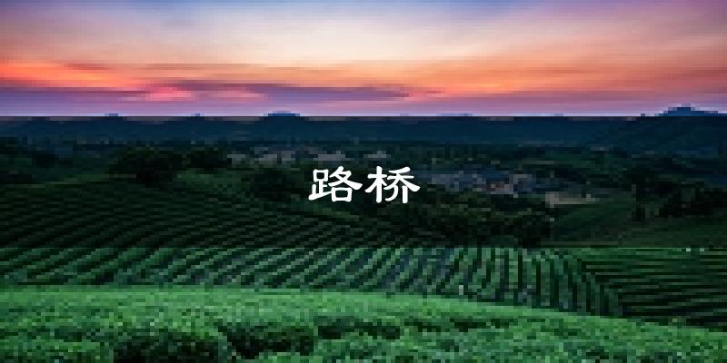 台州路桥区天气预报未来一周