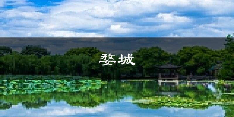 金华婺城天气预报未来一周