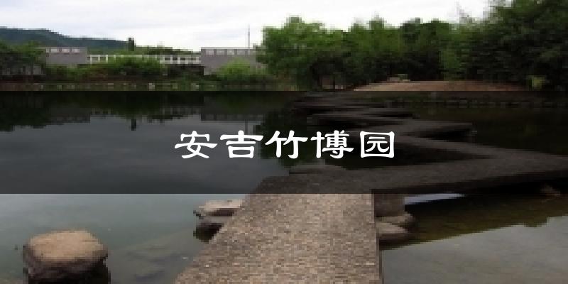 安吉竹博园气温