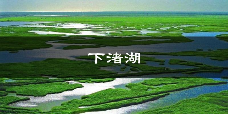 下渚湖气温
