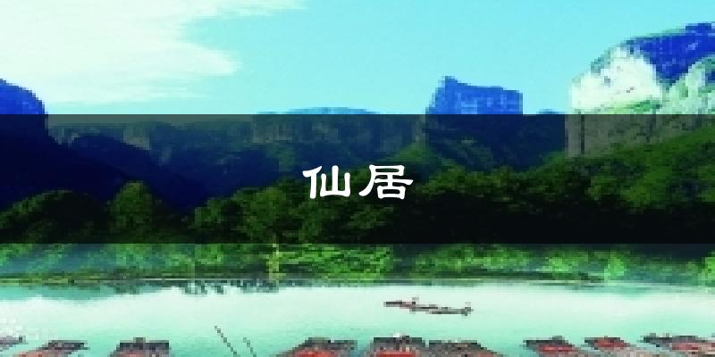 仙居今日天气