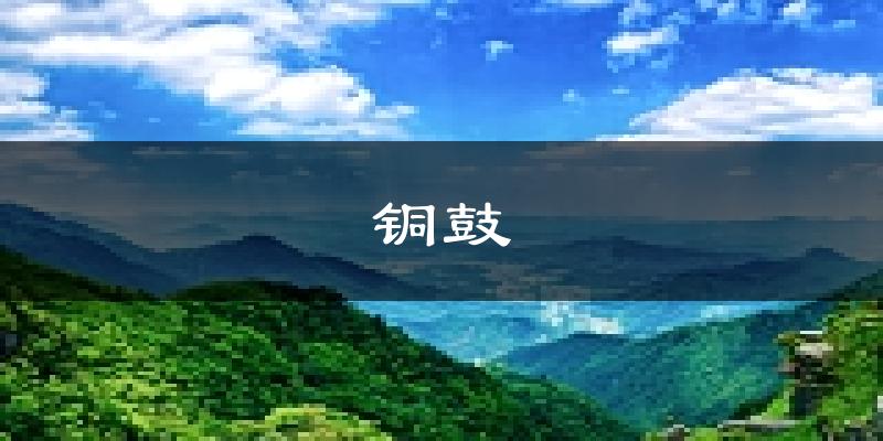 铜鼓天气预报未来一周