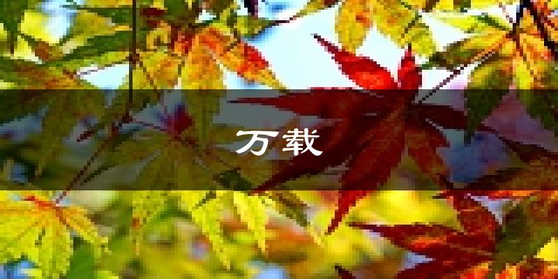 万载天气预报未来一周