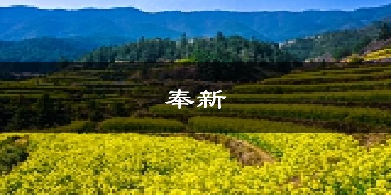 奉新天气预报未来一周