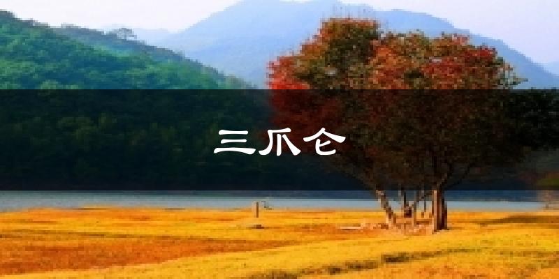 三爪仑气温
