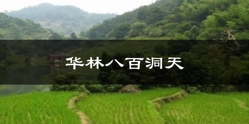 华林八百洞天气温