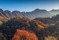 巴中今日天气