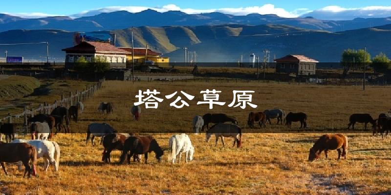 塔公草原气温