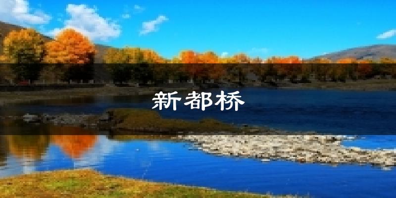 新都桥气温