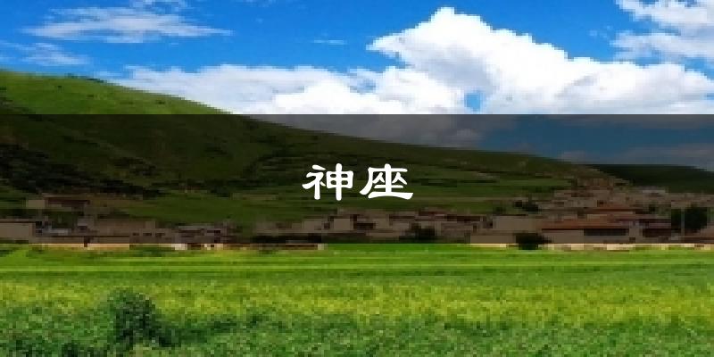 神座气温