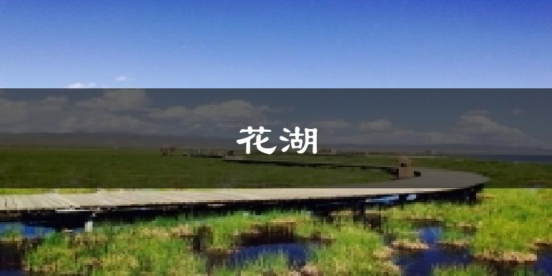 花湖气温