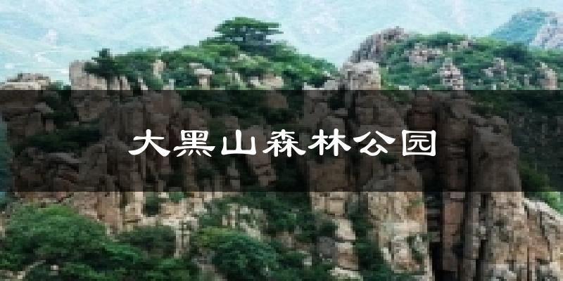 大黑山森林公园气温