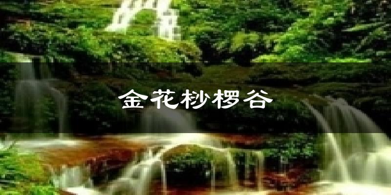 金花桫椤谷气温