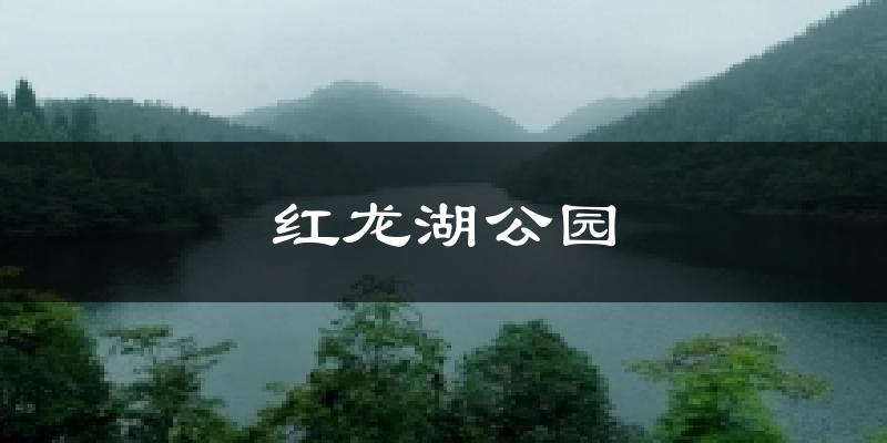 红龙湖公园气温