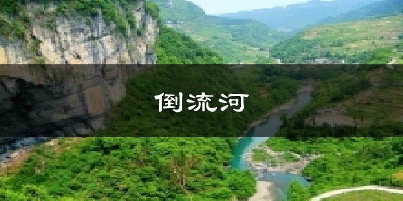 倒流河气温