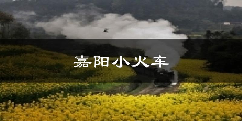 嘉阳小火车气温