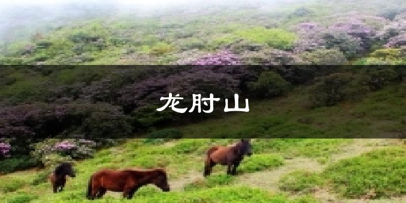 龙肘山气温