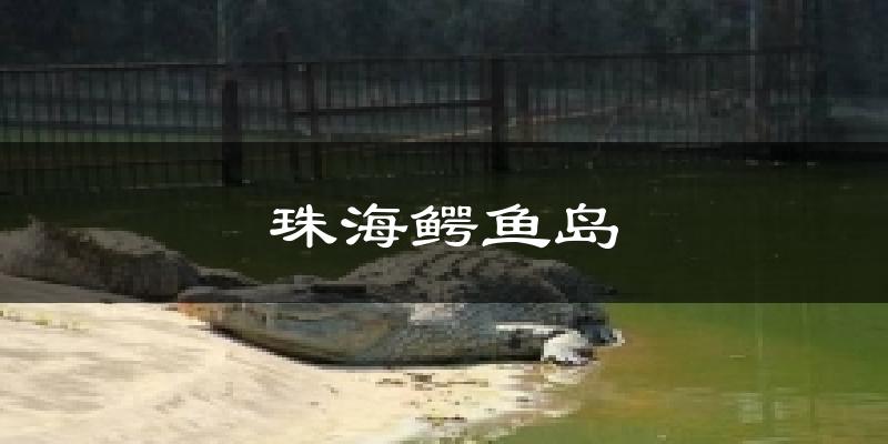 珠海鳄鱼岛气温