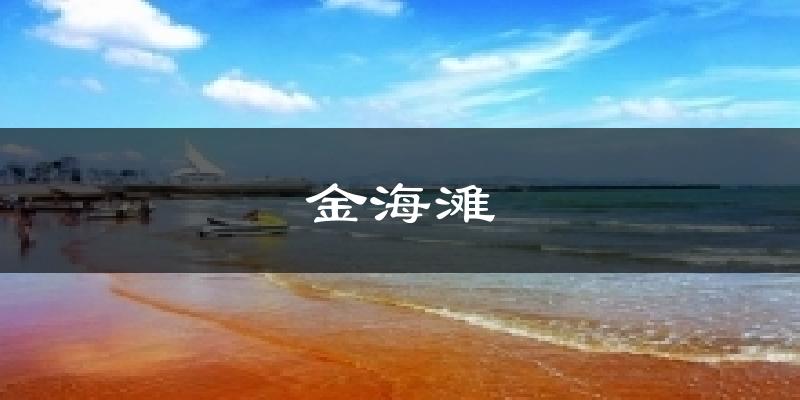 金海滩气温