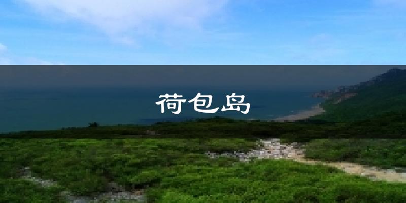 荷包岛今日天气