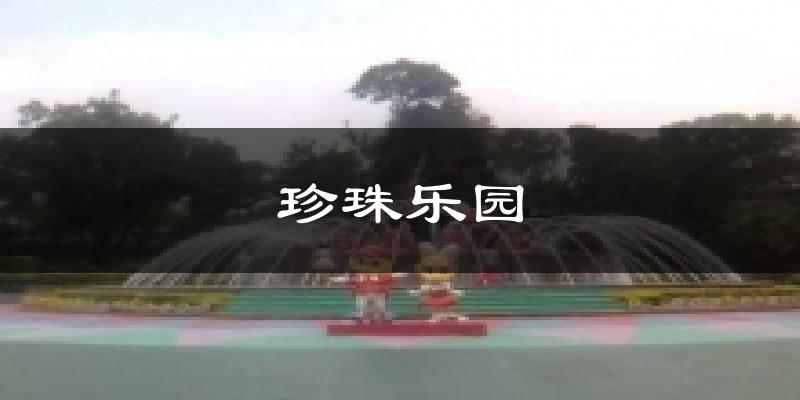 珍珠乐园气温