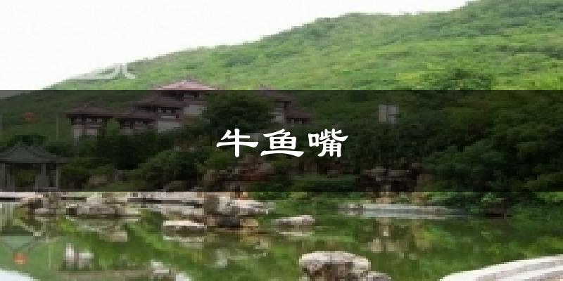 牛鱼嘴今日天气