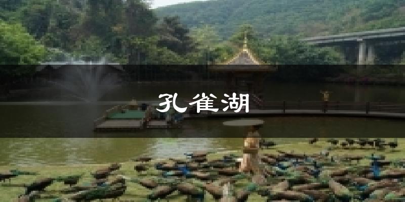 孔雀湖气温