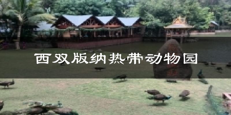 西双版纳热带动物园气温