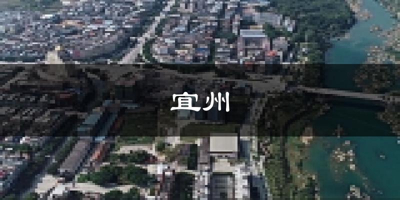 宜州天气预报未来一周