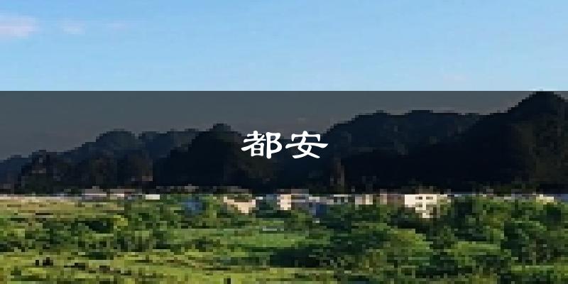 都安天气预报未来一周