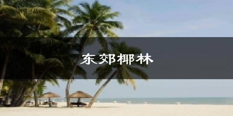 东郊椰林气温