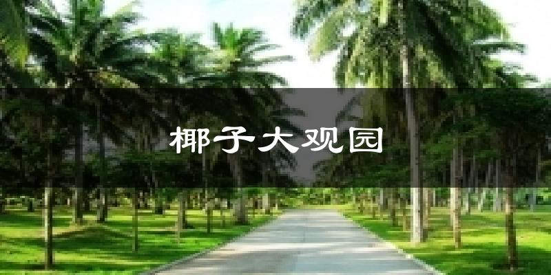 椰子大观园气温