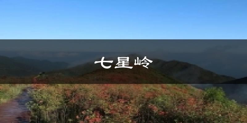 七星岭今日天气